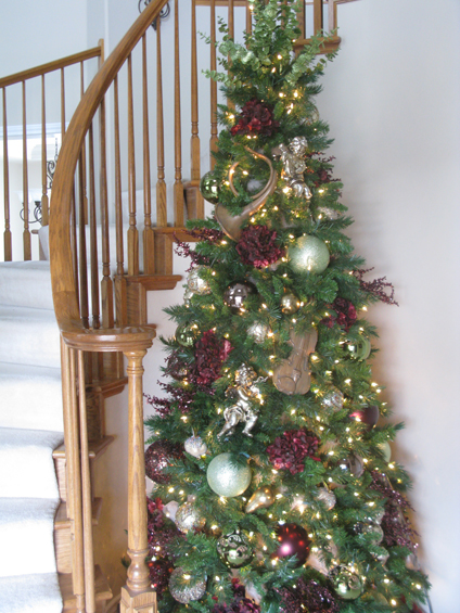 images/Xmas-2009-014.jpg